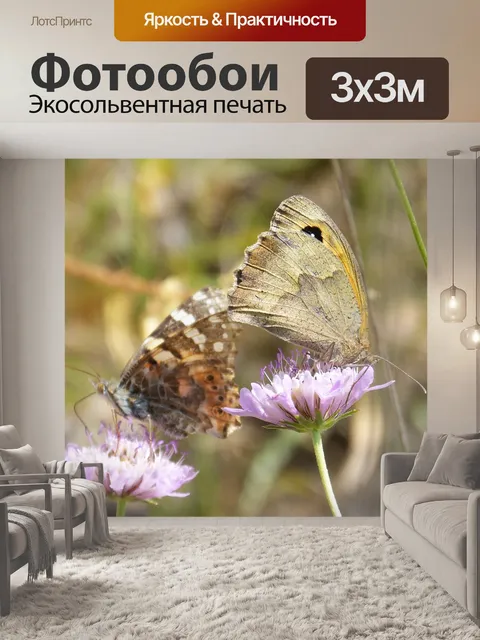Фотообои Бабочки
