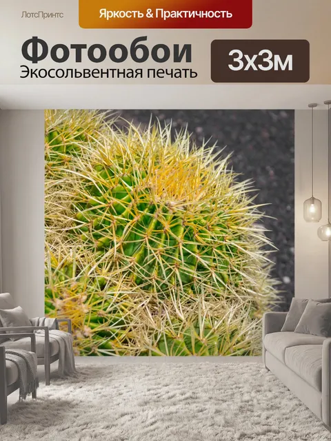 Фотообои Золотые бочки кактуса