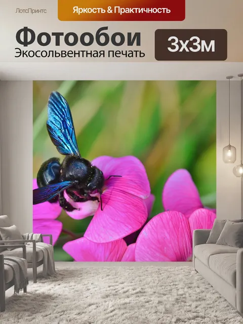 Фотообои Природа