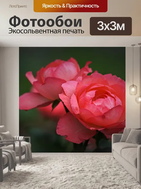 Фотообои Розы