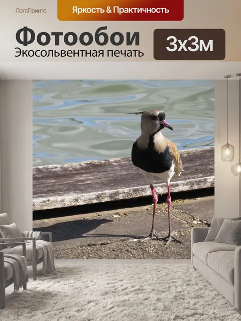 Фотообои Птиц