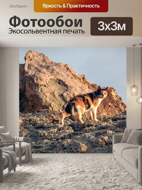 Фотообои Кошка