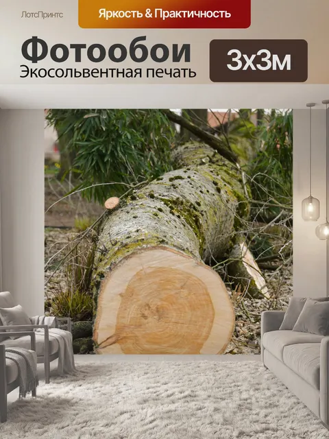 Фотообои Дерево