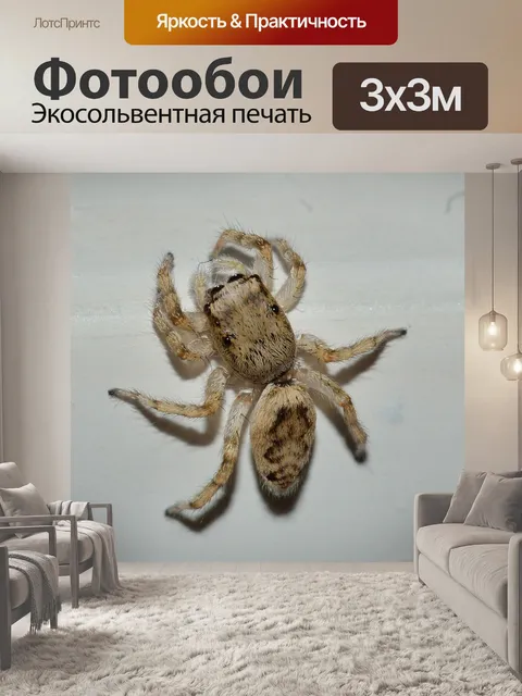 Фотообои Природа
