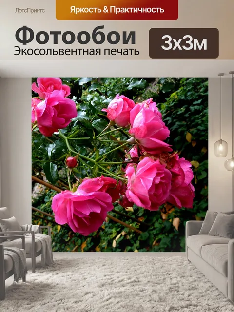 Фотообои Розы