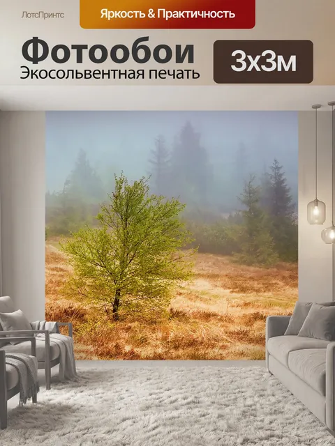 Фотообои Туман