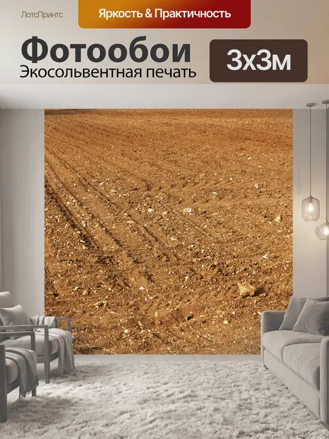 Фотообои Поле