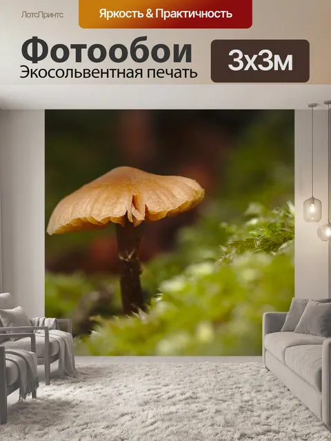 Фотообои Лес