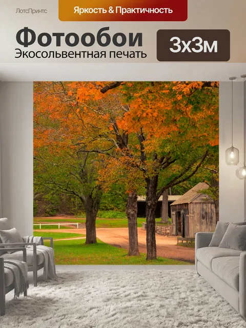 Фотообои Грязная улица осенью