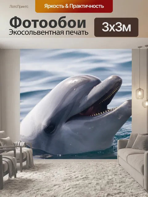 Фотообои Дельфин