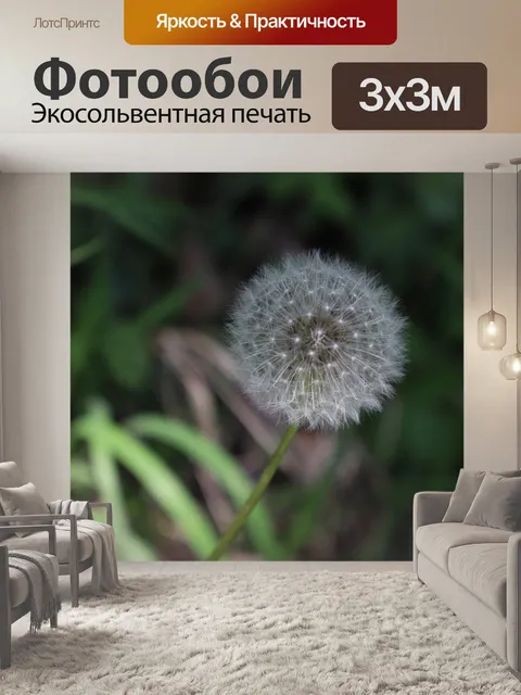 Фотообои Одуванчик