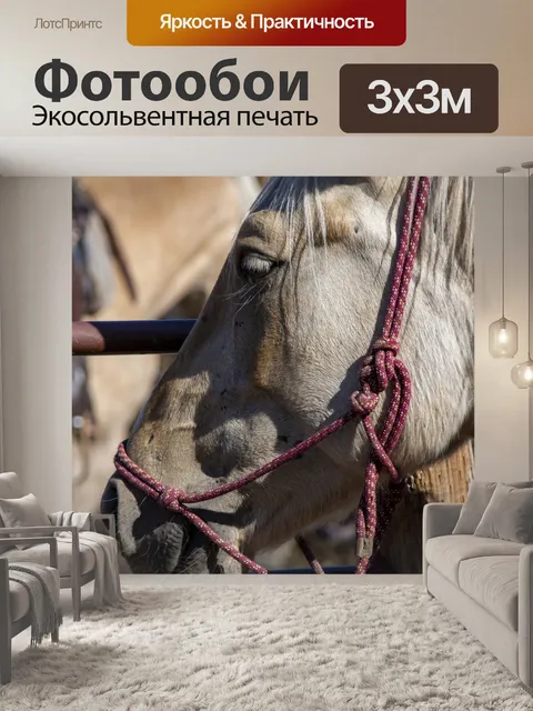 Фотообои лошадь