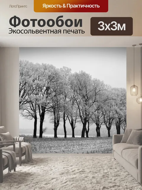 Фотообои Зима
