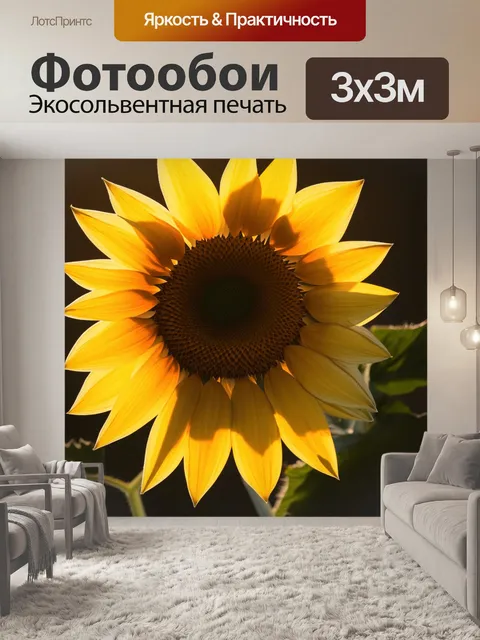 Фотообои лепестки подсолнуха, закрывающегося в утреннем свете, создают уникальный узор