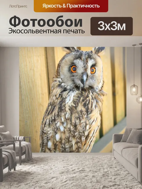 Фотообои Зоопарк