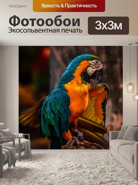 Фотообои Птица