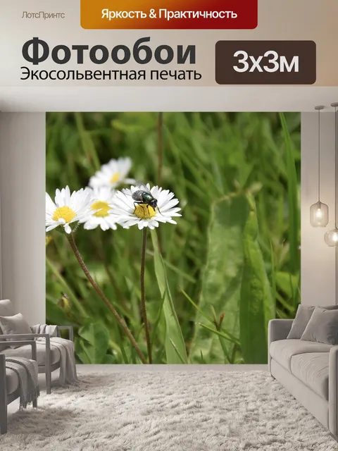 Фотообои Летать