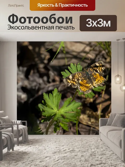 Фотообои Бабочка