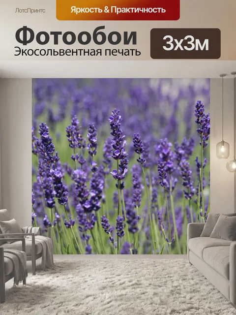 Фотообои Поле лаванды