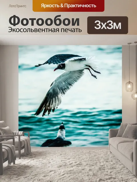 Фотообои Две чайки на пляже