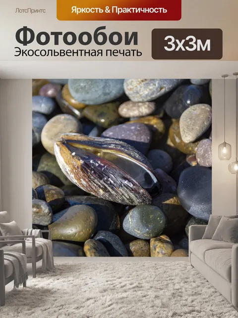 Фотообои Галька и раковина мидий