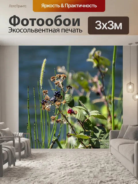 Фотообои Дикие ягоды