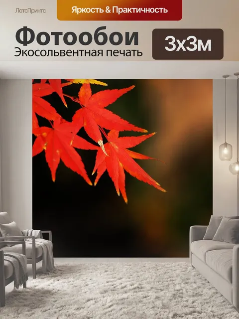 Фотообои Бесплатно