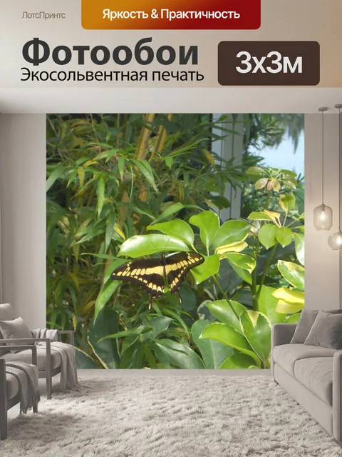 Фотообои Бабочка