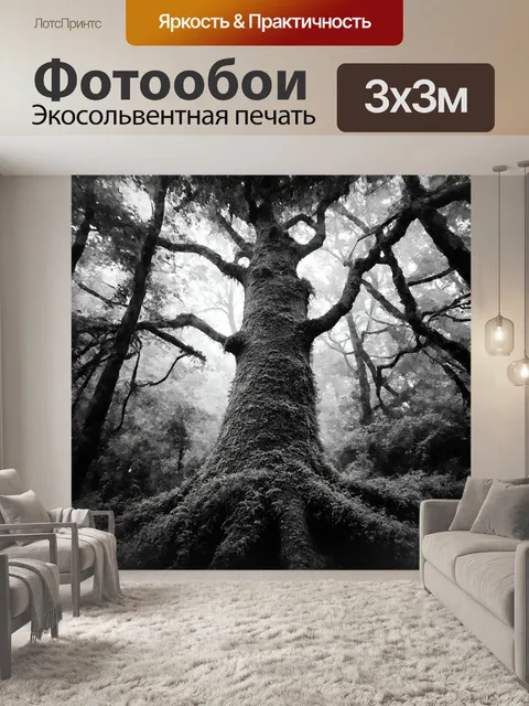 Фотообои черно-белый с завораживающим изображением поросшего мхом дерева в лесу