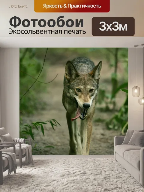 Фотообои Лес