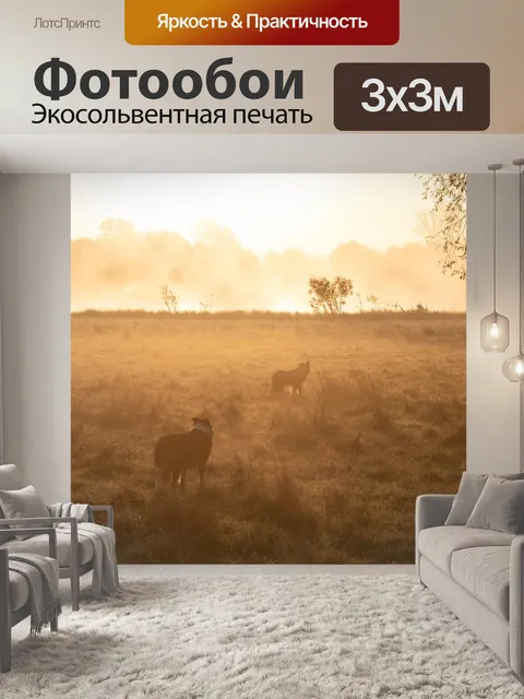 Фотообои Собаки