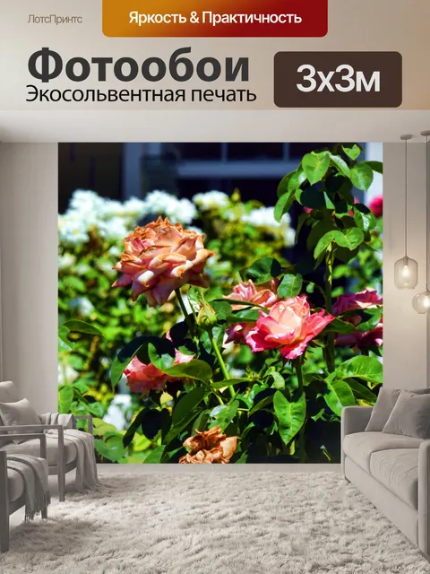 Фотообои Розы