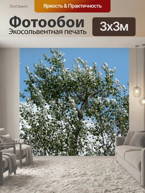 Фотообои Листья