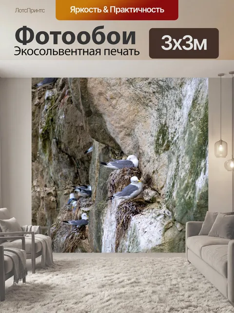 Фотообои Всадник