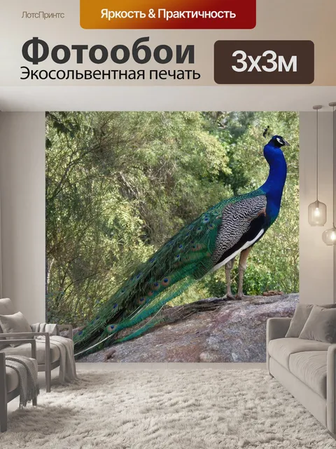 Фотообои Павлин