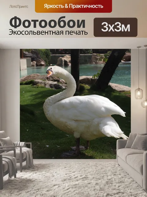 Фотообои Гусь