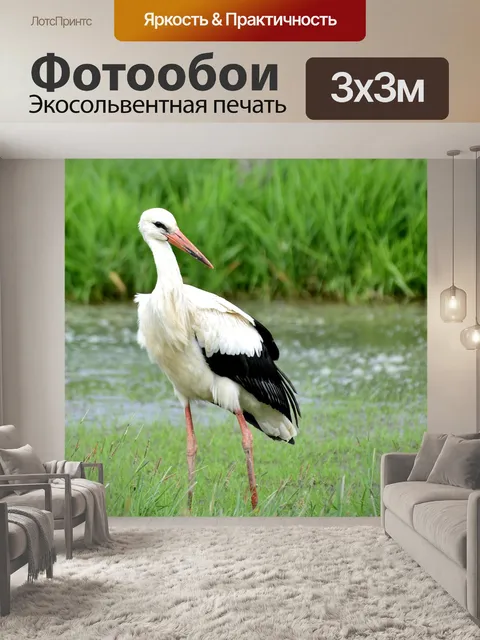 Фотообои Аист