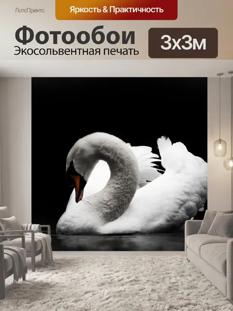 Фотообои Птица