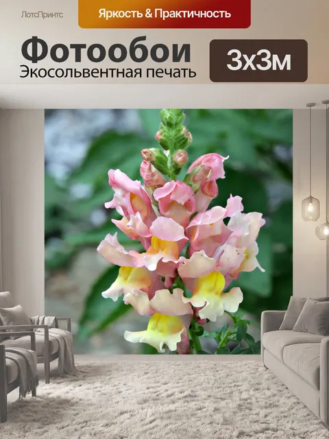 Фотообои Львиный зев цветы