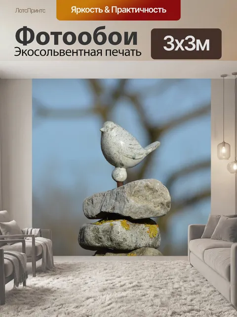 Фотообои Птица