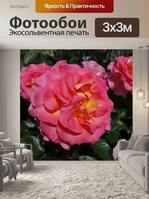 Фотообои Розы