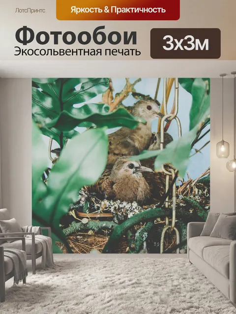 Фотообои Птицы