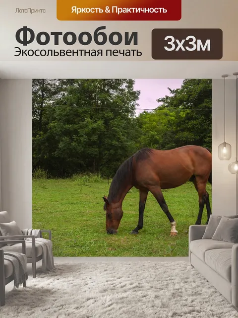 Фотообои Лошадь