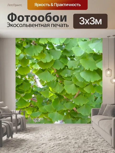 Фотообои Гинко билоба