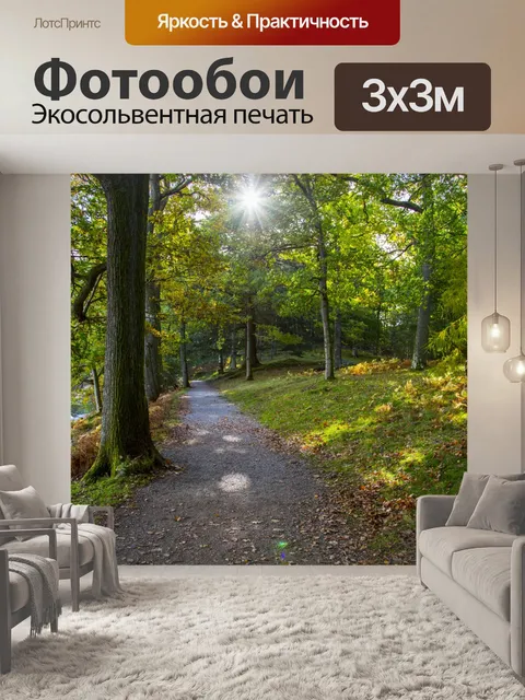 Фотообои лес