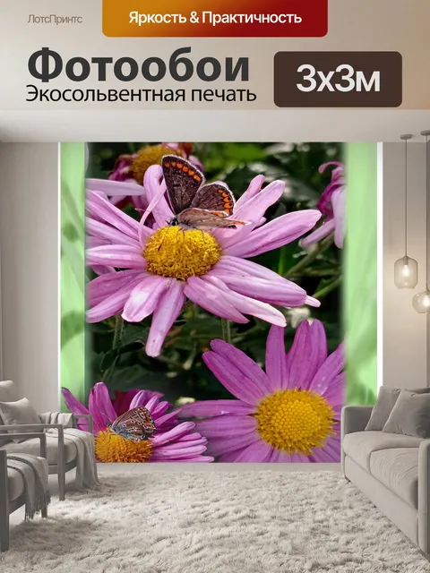 Фотообои Бабочка