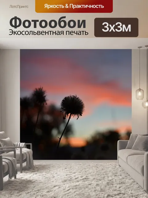 Фотообои Одуванчик