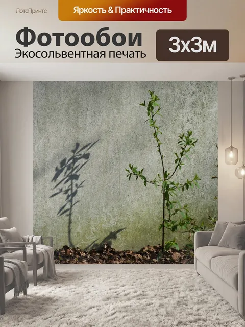 Фотообои Тень