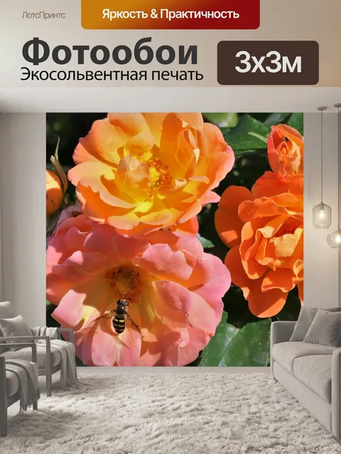 Фотообои Розовые и оранжевые розы и пчела