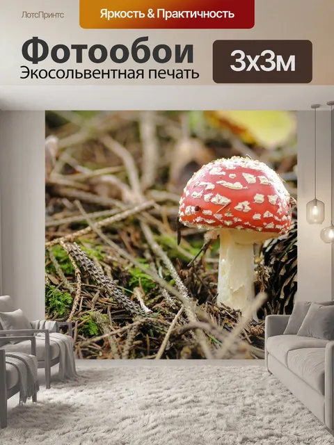 Фотообои Грибы